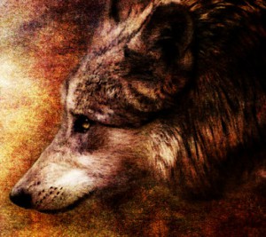 Wolf_by_crimsonvermillion
